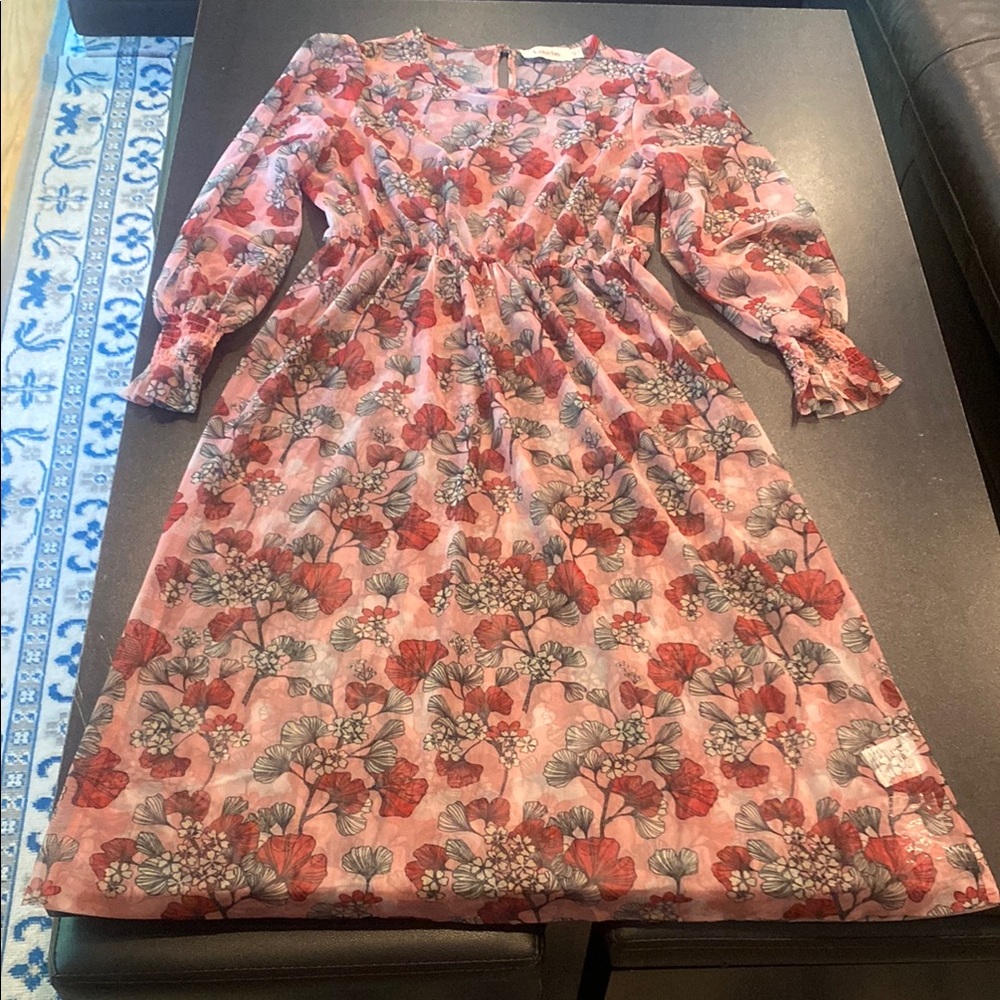 Ginkgo Leaf Print Pink Sheer Long Sleeve Dress